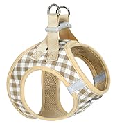 Step-in Small Dog Harness