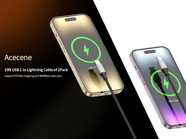 10ft USB C to Lightning Cable 2Pack