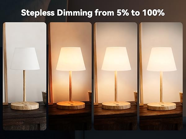 Stepless Dimming from 5% to 100%