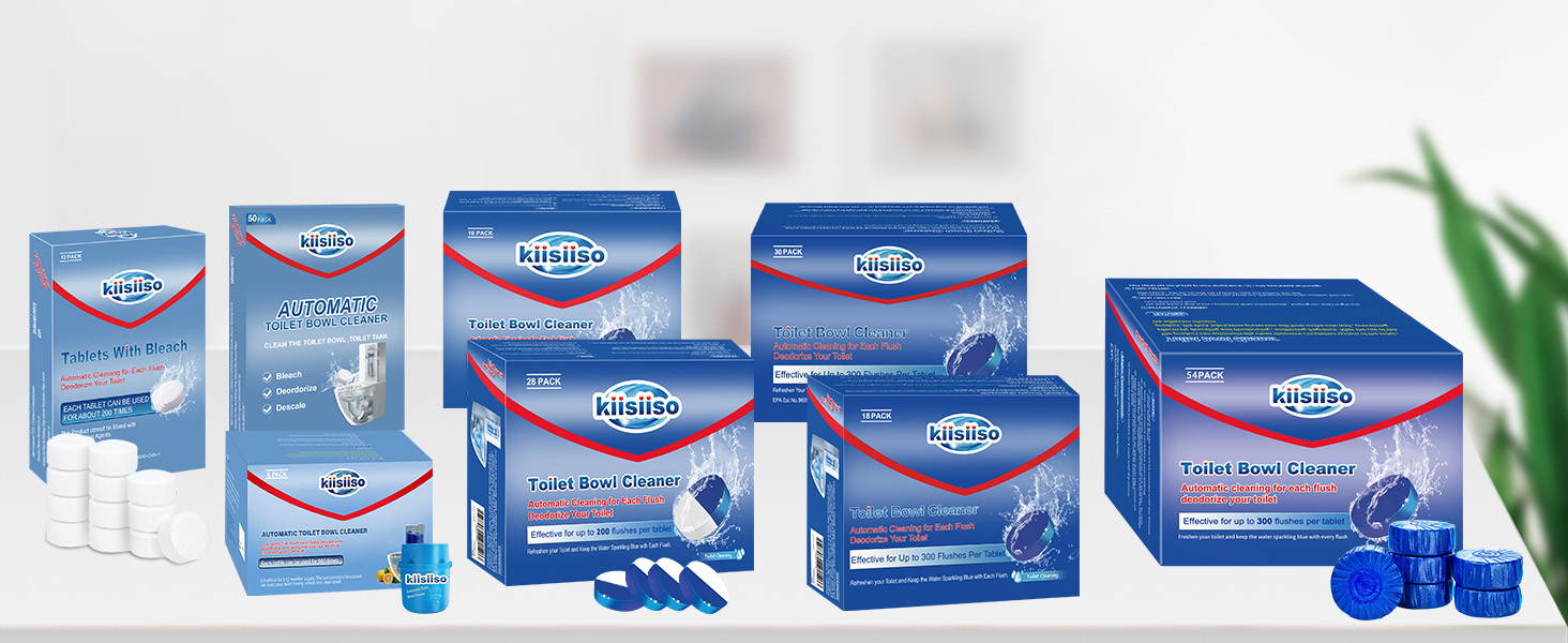 Household Toilet Bowl Cleaning