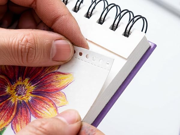 Clean Erasing– Pencil marks erase cleanly
