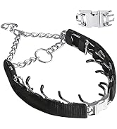 dog collars for medium dogs