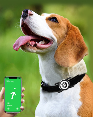 ilFindYou Apple AirTag Holder for Dog Collar