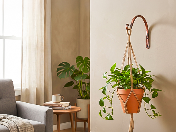 plant hangers