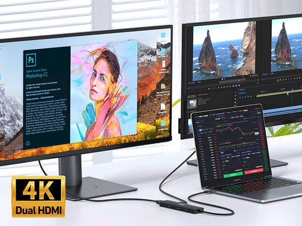 docking station dual monitor
