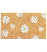 THEODORE MAGNUS Door Mat - Welcome Mat for Front Door with Non-Slip Backing - Durable Spring & Su...