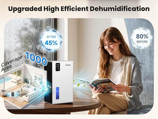 dehumidifier for bathroom