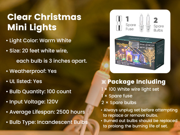 christmas lights indoor