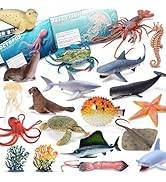 20 Pcs Ocean Animal Toy with Educational Booklet, Plastic Sea Animal with Gift Box, Mini Sea Crea...