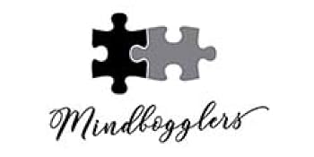 hinkler mindbogglers puzzles