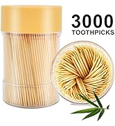 TRTRin [3000 Count 100% Natural Bamboo Toothpicks - With 1 Piece Reusable Toothpick Holder, Sturd...