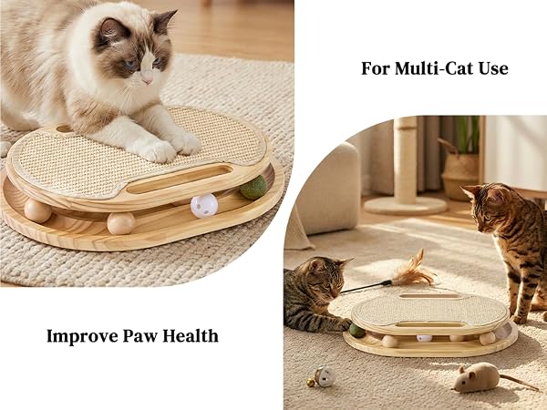 Cat Scratcher with Ball
