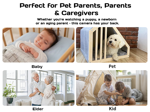 security camera for businesses;camera for pets at home;animal cameras for indoor;indoor cam