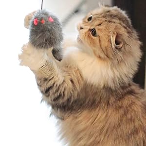 cat mice toy