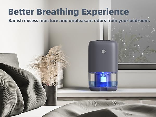 Small Dehumidifier