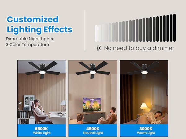 ceiling fan with light