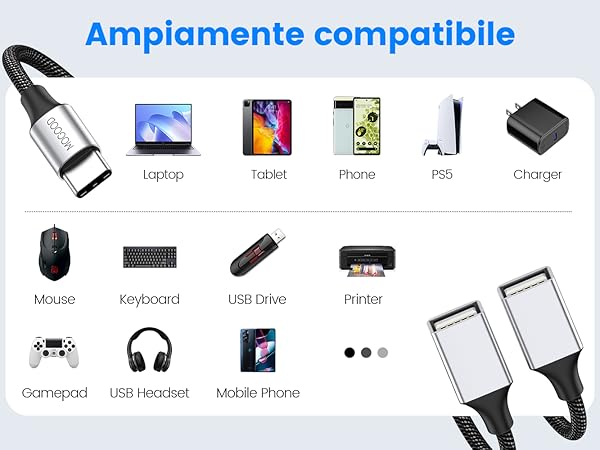 usb-c to dual usb-a
