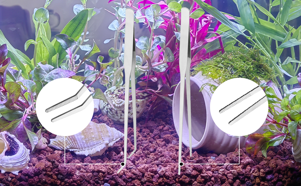 terrarium tools