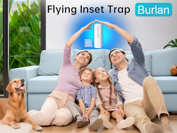 Burlan fly trap indoor