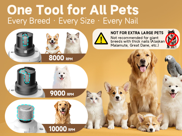 One Tool for All Pets