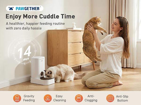 cat feeder