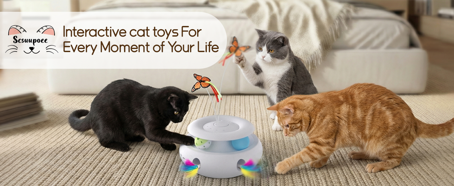 cat toy