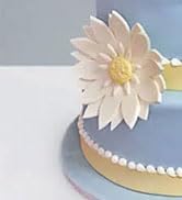 acrylic cake disk