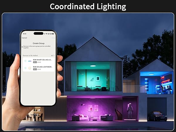flush mount ceiling light