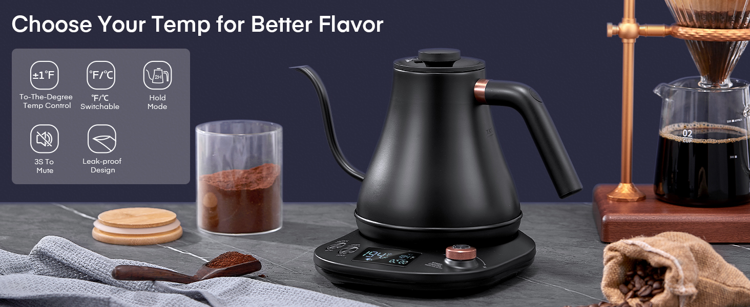 Electric Gooseneck Kettle Temperature Control