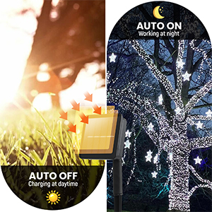 solar string lights outdoor