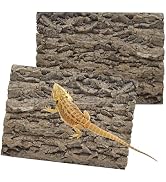 PINVNBY 2PCS Reptile Background for Terrarium,15.74 x 11.81in Natural Cork Bark Bearded Dragon Ha...