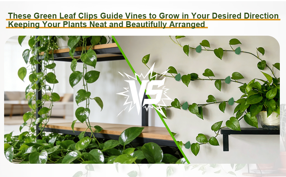plant wall clips