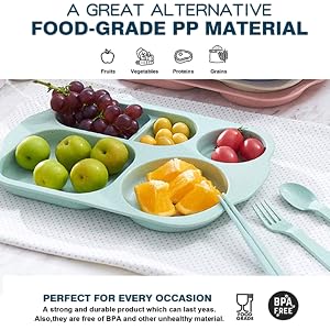 Unbreakable Divided Plates for Kids Adults