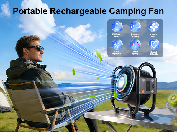 Portable Outdoor Oscillating Fan