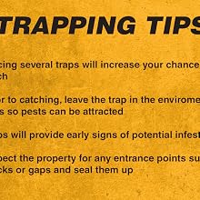 Tips