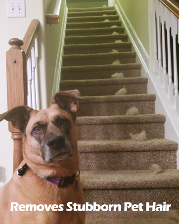Removes Stubborn Pet Hair