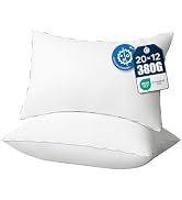 Phantoscope Hypoallergenic Throw Pillows Insert, 100% Virgin Fiber Throw Pillows - Indoor Pillow ...