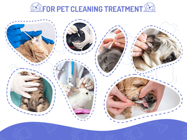 Dog Ear Swabs