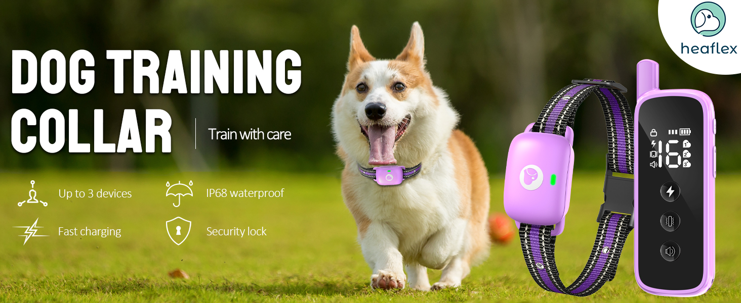 dog shock collar