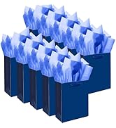 qiqee 10PCS Nordic Blue Mini Gift Bags with Tissue Paper Handles 6.3"x4.7"x2.4" Small Size Presen...