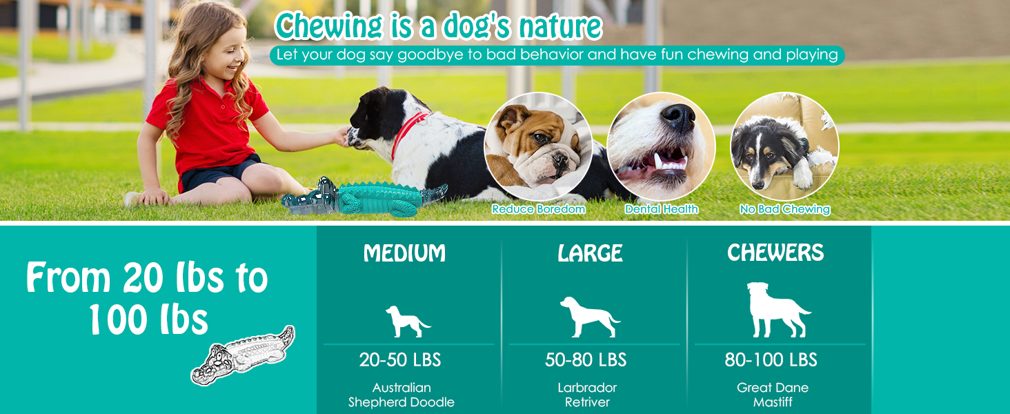 dog toys for aggressive chewers