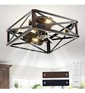 addlon Caged Low Profile Ceiling Fans with Lights and Remote, Small Farmhouse Flush Mount Fandeli...