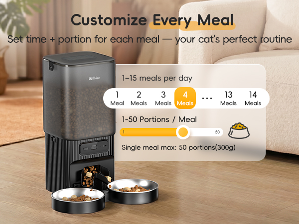 auto cat feeder