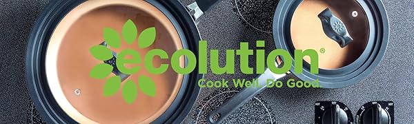 Ecolution Header