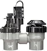 Rain Bird DASASVF075 Professional Grade Anti-Siphon Valve with Flow Control, 3/4