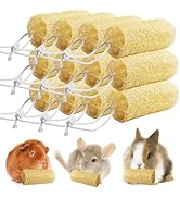 Apatal 12 Pcs Rabbit Chew Toys Natural Bunny Loofah Chew Toy Chinchilla Teeth Grinding Toys Guine...