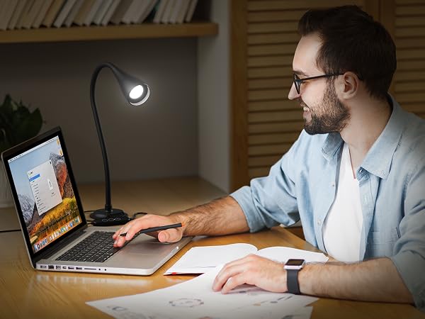 Stand Desk Lamp