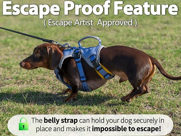 escape proof dog harness