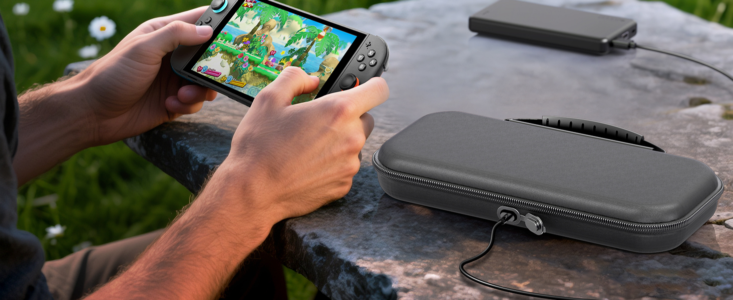 switch 2 carrying case