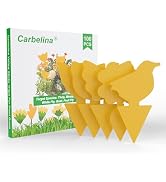Carbelina Fruit Fly Traps for Indoors Sticky, Gnat Traps for House Indoor Plants, Fungus Gnat Sti...